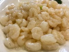 清炒河虾仁-花园茶楼(兴城西路店)