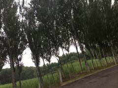 -东郊湿地公园