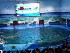 -多彩贵州城极地海洋世界