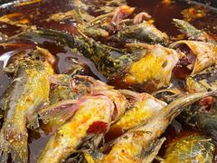 -金海椒罐罐鲢鱼(东方桂苑店)