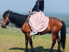 -额尔古纳黑山头绿野马帮骑马场