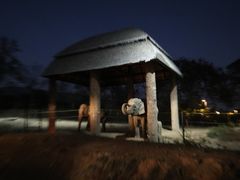 -清迈夜间动物园