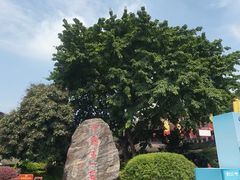 -泸州老窖景区