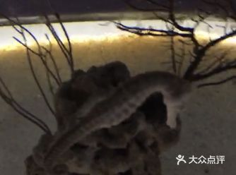 北京海洋馆，百玩不厌，每年都要刷几次