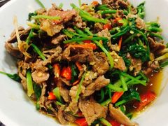 -壹盏灯(蚂蚁工房店)