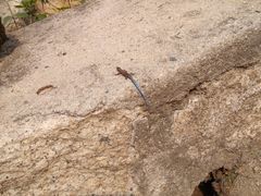 -碓臼峪自然风景区