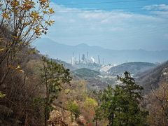 -白水寺森林公园