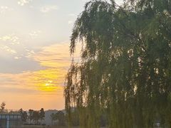 -东莞植物园