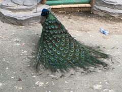 -南昌动物园