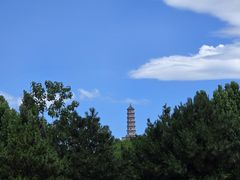 -北坞公园
