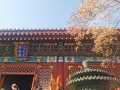 -香山公园