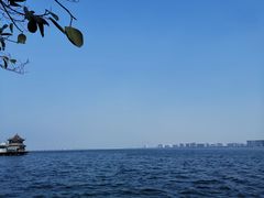 -八婆婆烧仙草(曾厝垵店)