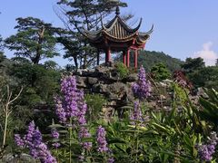 -顺峰山公园