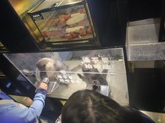 -太平洋海底世界