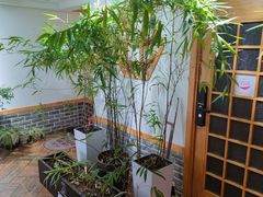 -孙三拨按摩(大纺店)