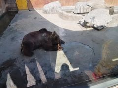 -临沂极地海洋王国