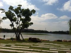 iphone_upload_pic-南翔镇银翔湖公园