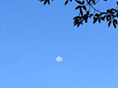 -莲花山公园