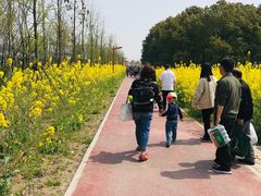 -上海浦江郊野公园-5号停车场