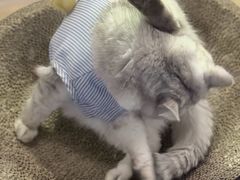 -小时光咖啡馆(北锣鼓巷店)