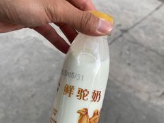 -正飞鲜奶(吐鲁番路店)