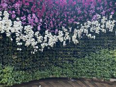 -石家庄市植物园