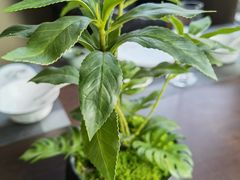 -百富源·海鲜辽菜(张士店)