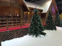 -宁波冰雪大世界(北仑区)