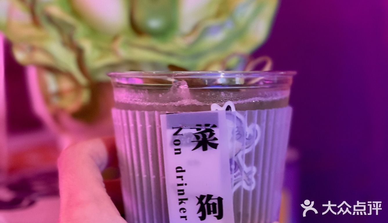 进贤路上一杯可以喝的菜狗🐶