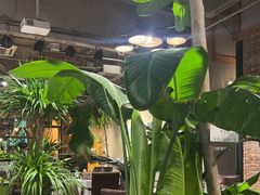 -泓0871臻选云南菜·味庄