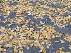 -青龙山生态文化旅游区(慈云寺)