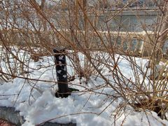 -马栏河运动公园