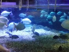 -成都浩海立方海洋公园