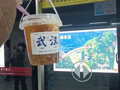 -武汉大学-樱园