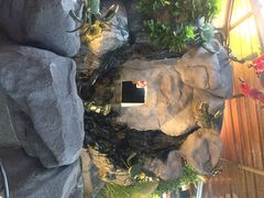 无招牌海鲜餐厅(芽笼店)-無招牌海鮮(芽笼店)