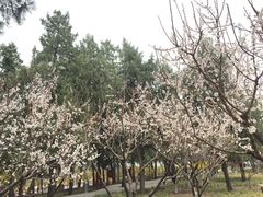 -长辛店二七公园