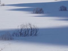 -黑龙潭风景区