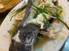 清蒸黑鲷鱼-渔鼎鲜海鲜餐厅(湄洲岛店)