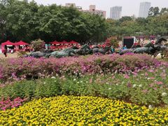 -广州雕塑公园