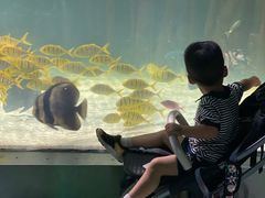 -苏州海洋馆