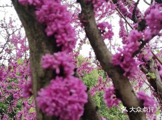 避开旅游高峰期，错峰来到这里，感觉来对了。价格不算太贵