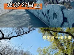 -龙沙公园