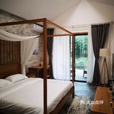 茶园发呆
