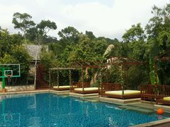 android_upload_pic-三亚亚龙湾人间天堂鸟巢度假村