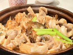 -谭厨中山传家菜.乳鸽.脆鲩鱼(华强北中航城店)