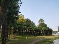 -美兰湖景区