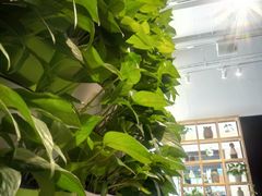 -云味馆·云南菜·云南米线(同泰时代广场店)