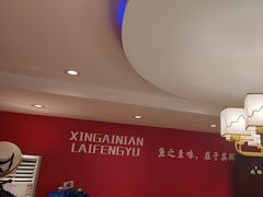 -新概念来凤鱼(璧山店)