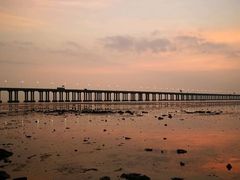 -宝安西湾红树林湿地公园