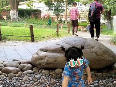 -成都市活水公园